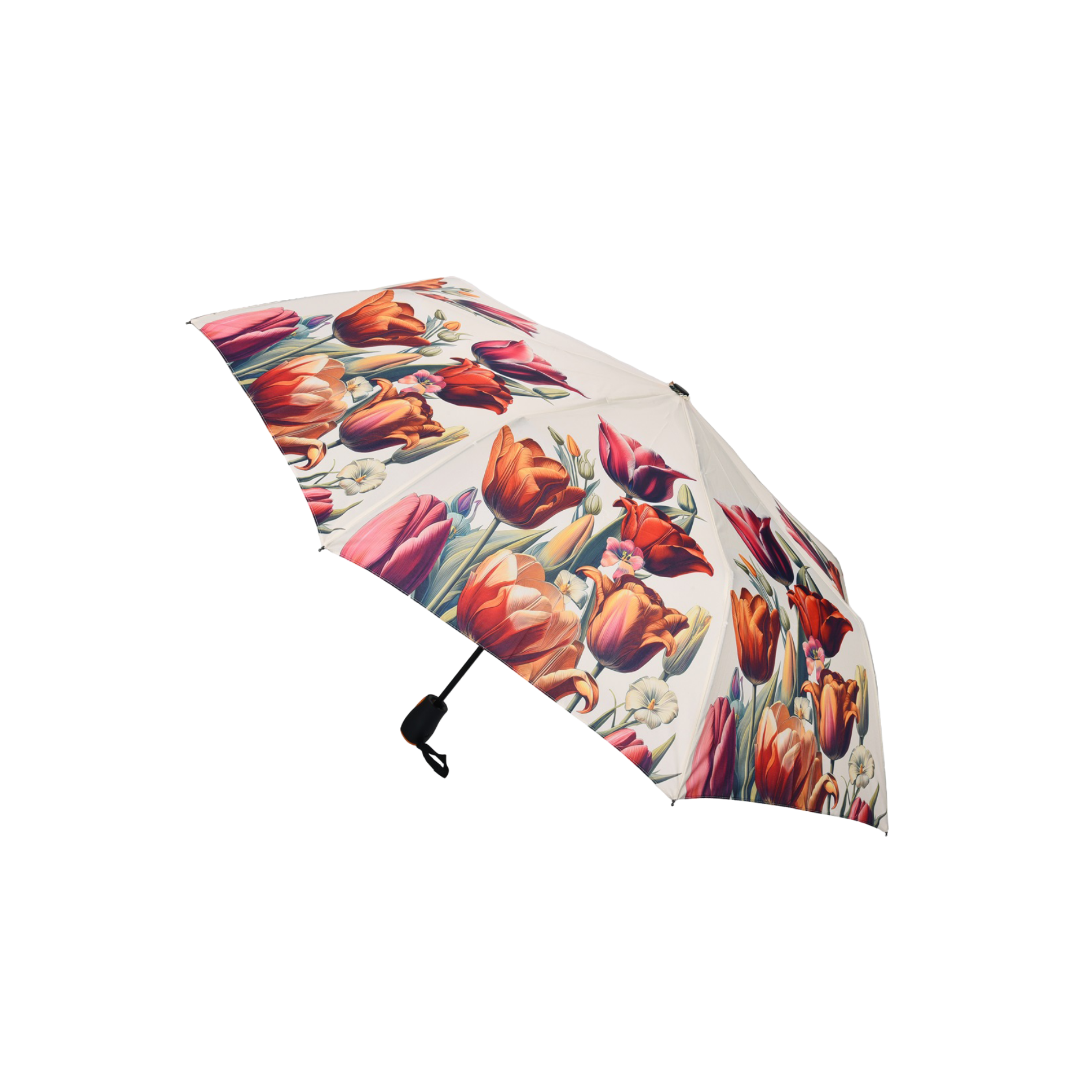 Umbrella