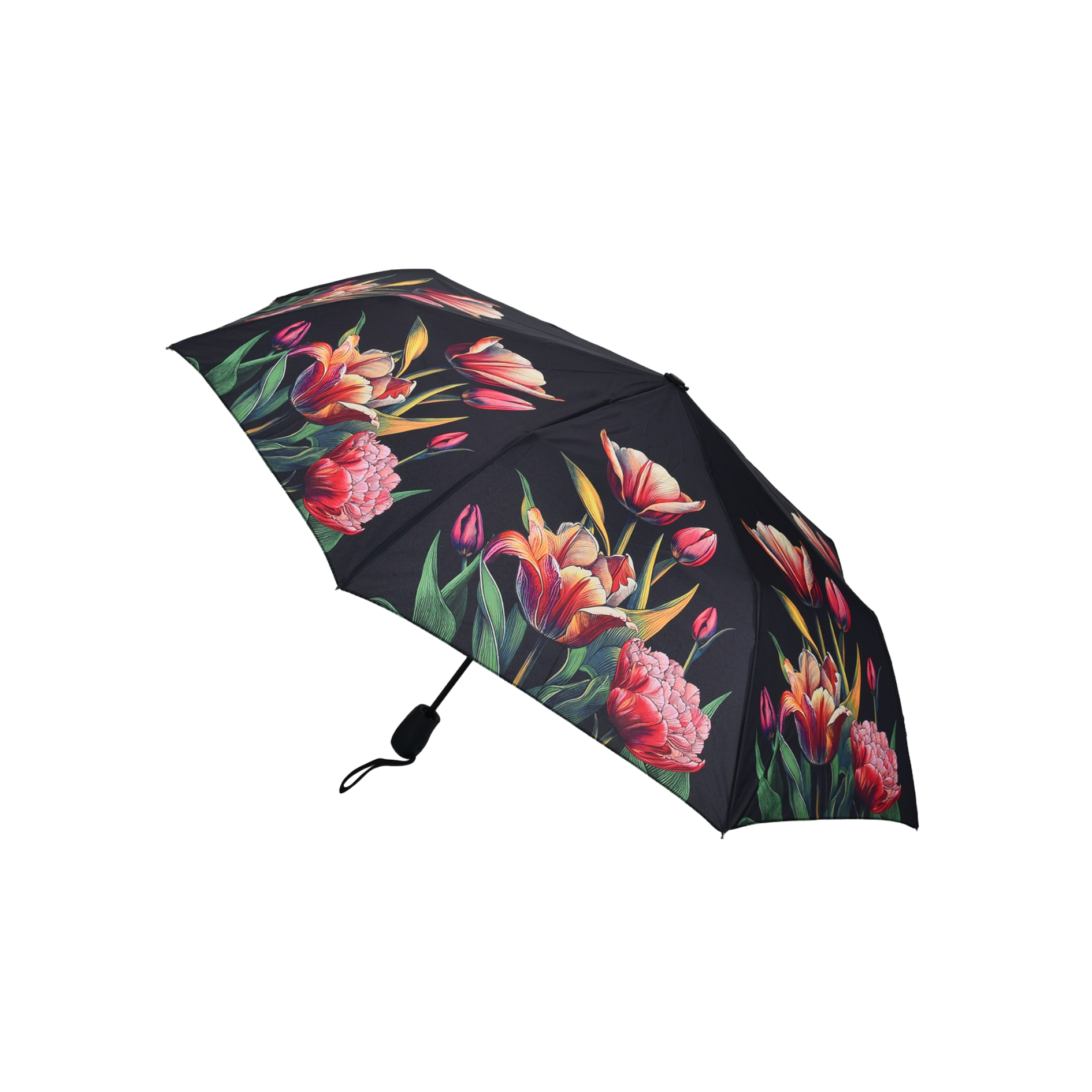 Umbrella