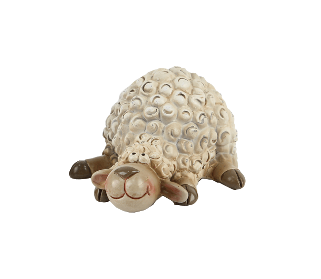 Schaap liggend