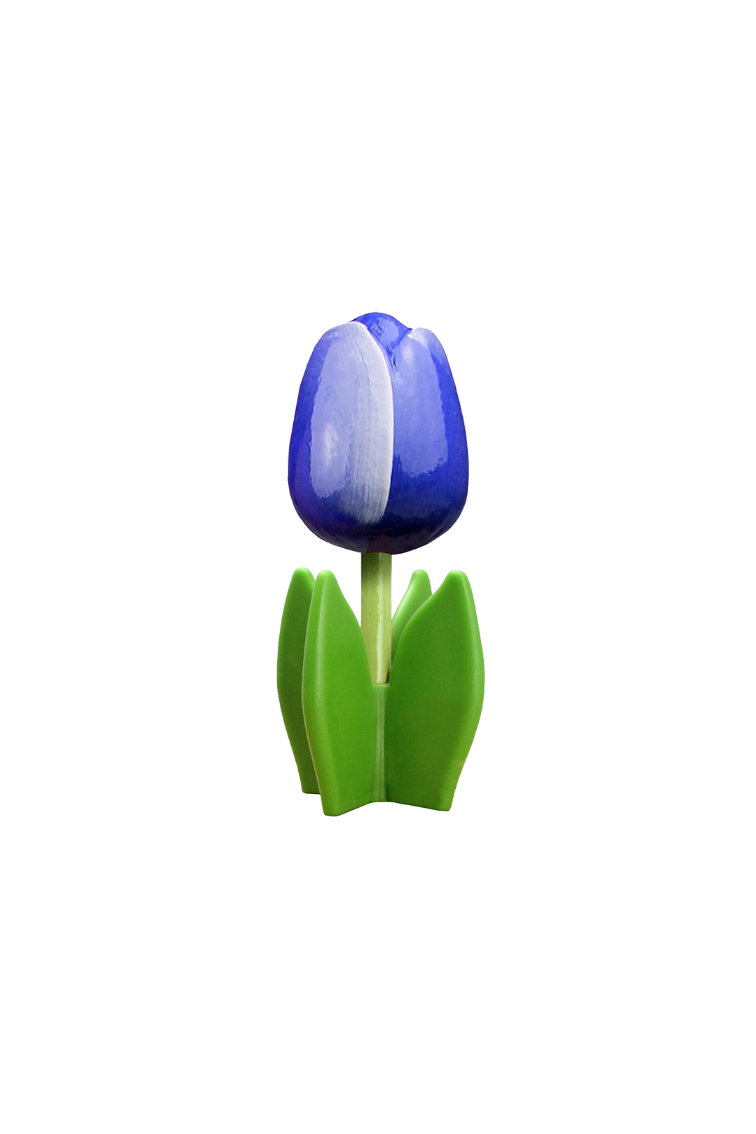 Tulip 4-leaf