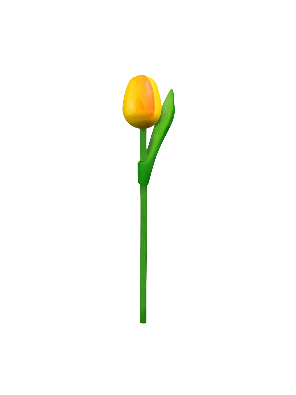 Tulip wood 20cm