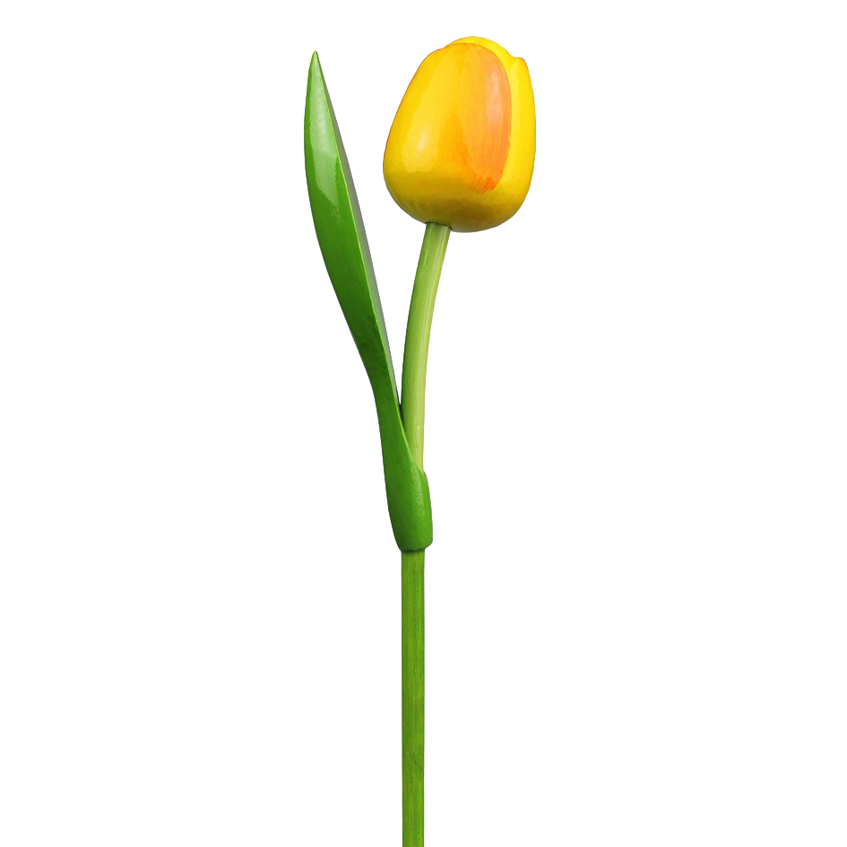 Tulp hout 30cm