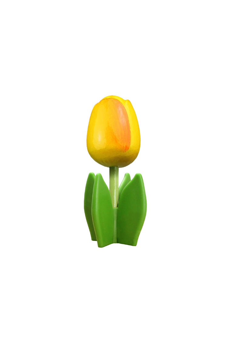 Tulip 4-leaf