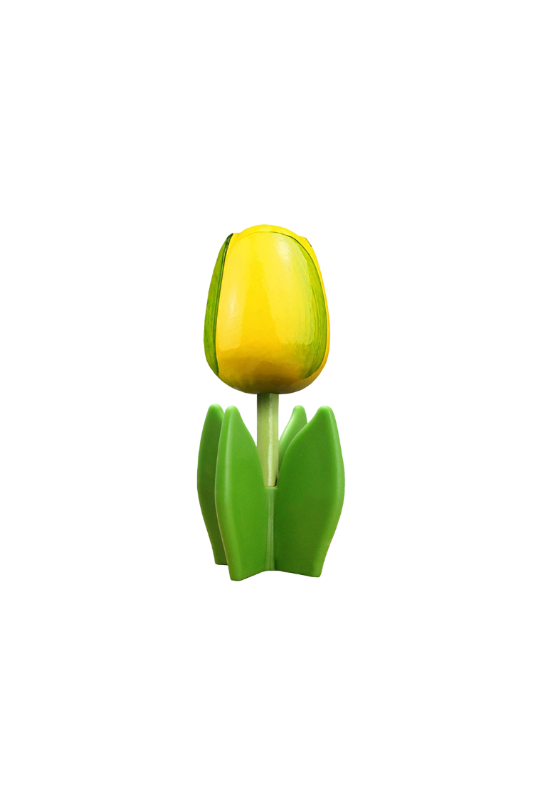 Tulip 4-leaf