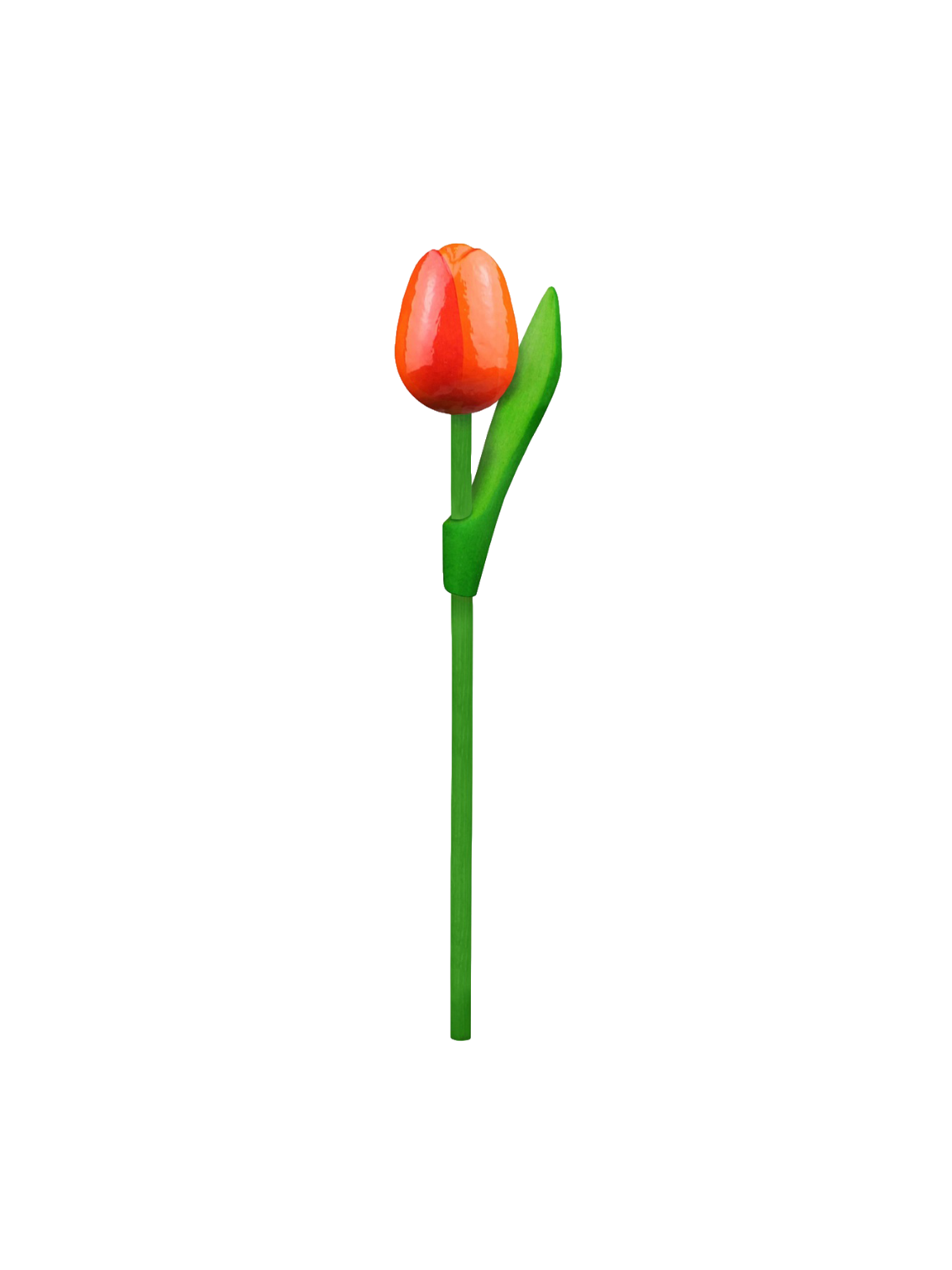 Tulip wood 20cm