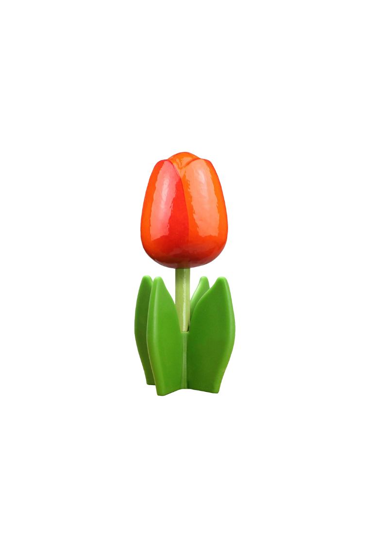 Tulip 4-leaf