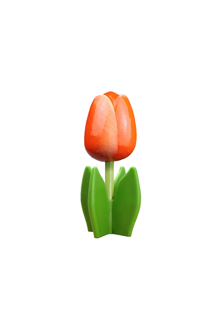 Tulip 4-leaf