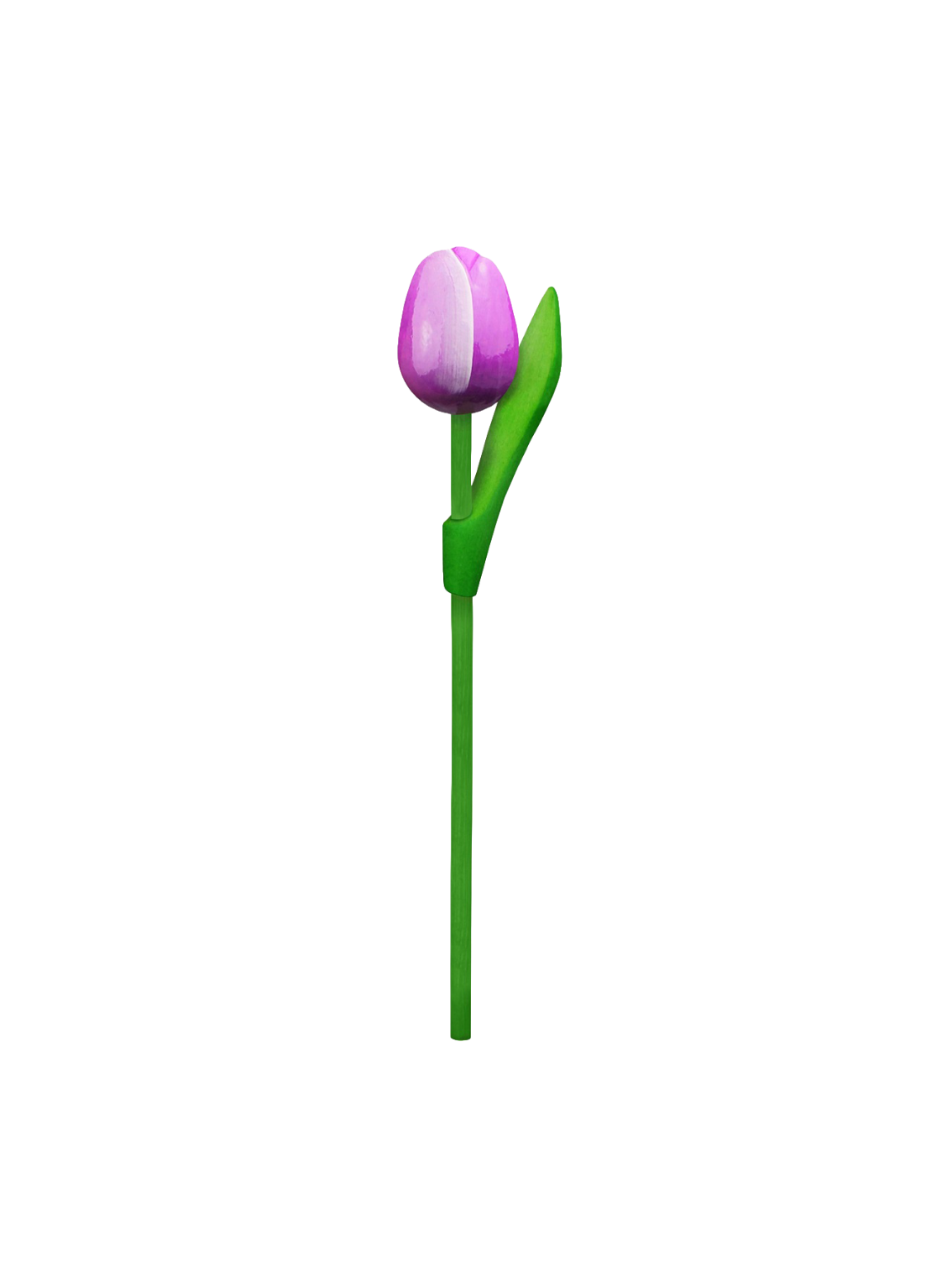 Tulip wood 20cm