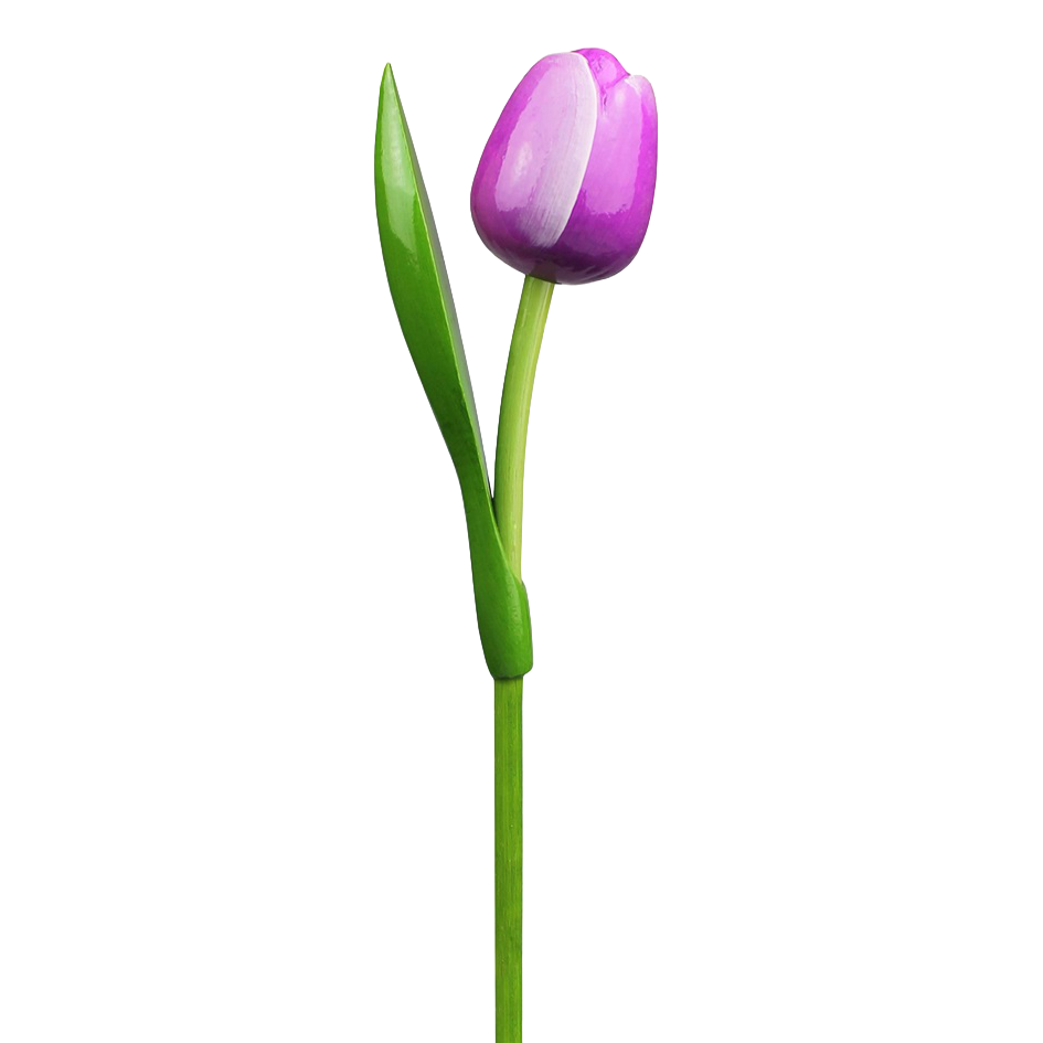 Tulp hout 30cm