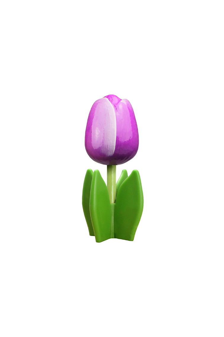 Tulip 4-leaf