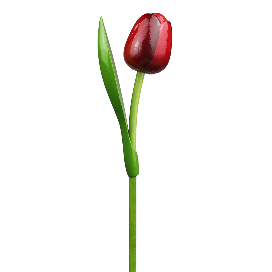 Tulp hout 30cm
