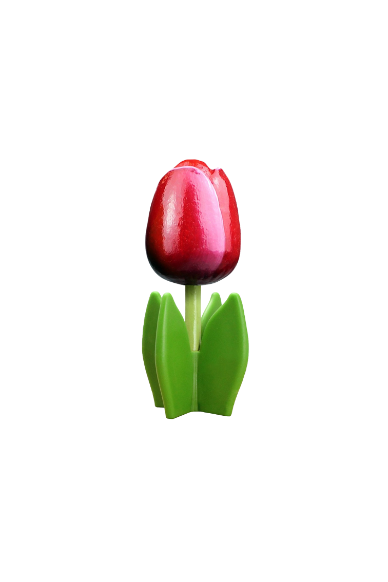 Tulip 4-leaf