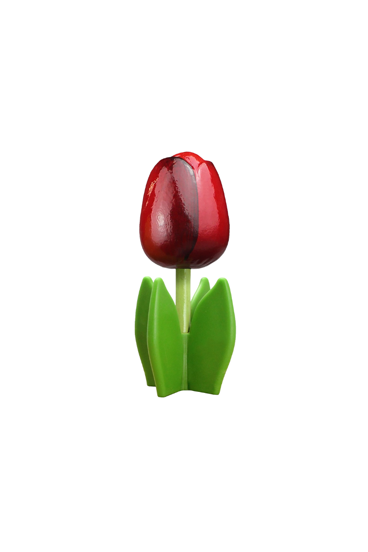 Tulip 4-leaf