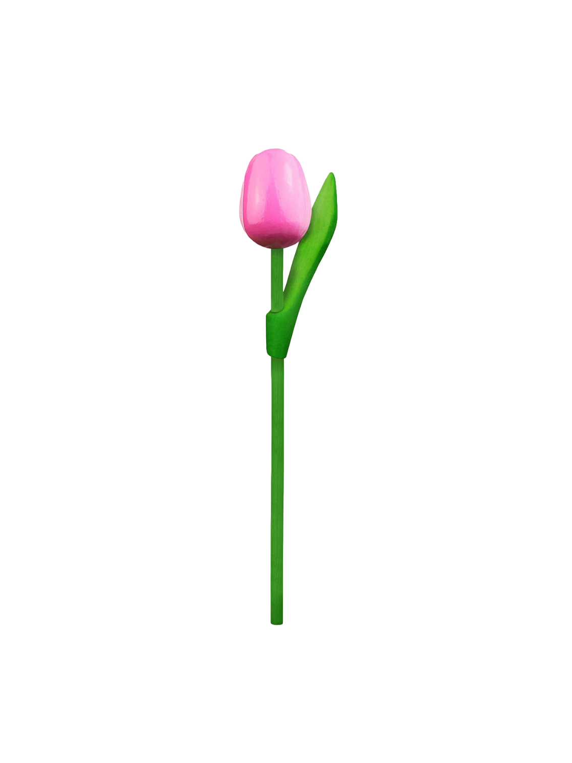 Tulip wood 20cm