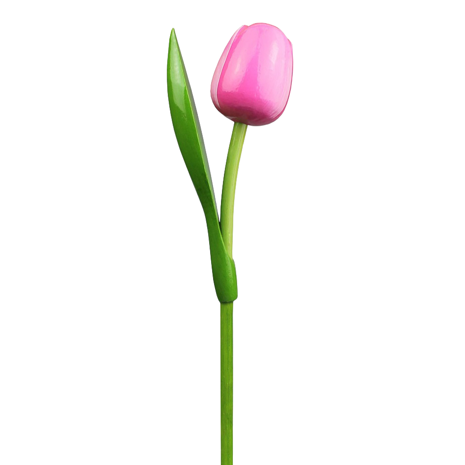 Tulp hout 30cm