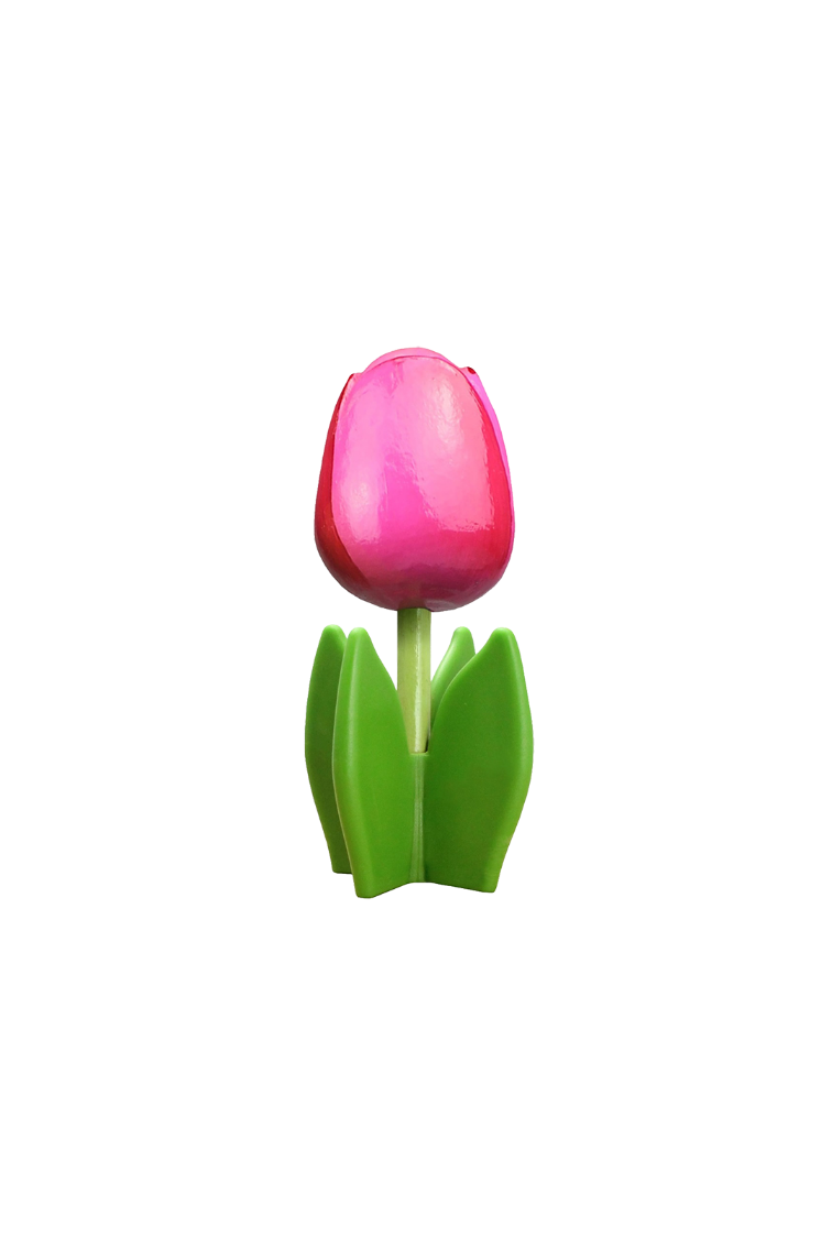 Tulip 4-leaf