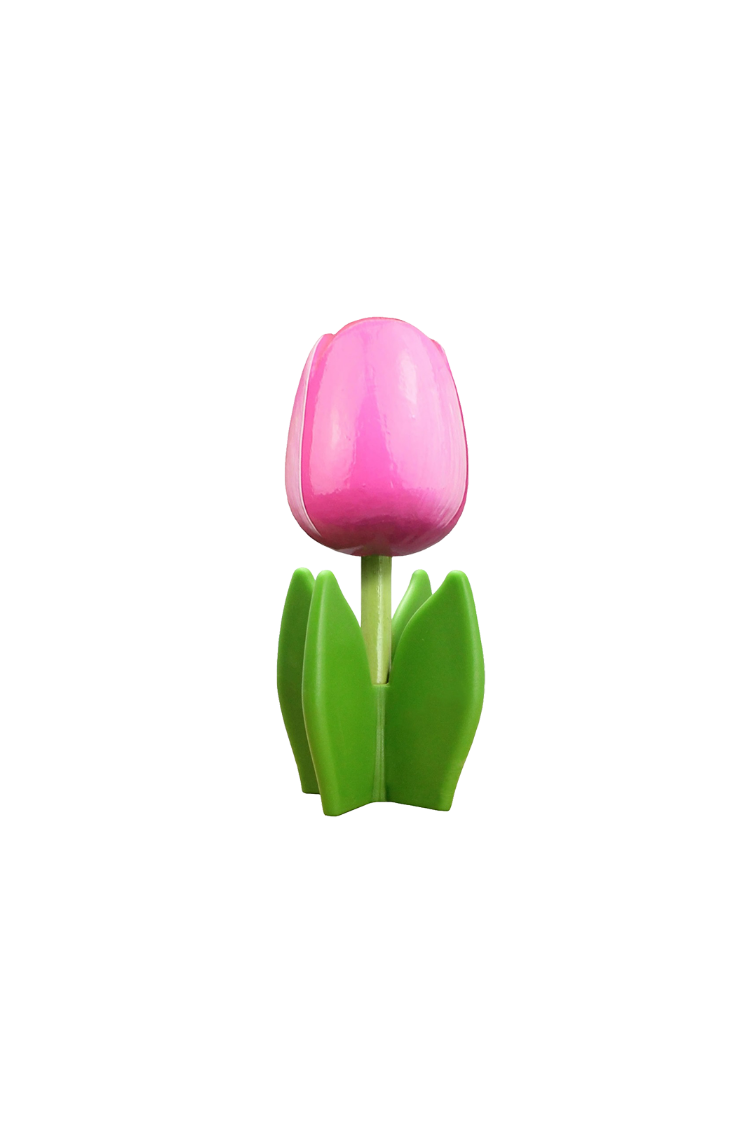 Tulip 4-leaf