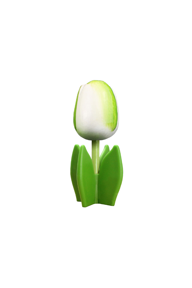 Tulip 4-leaf