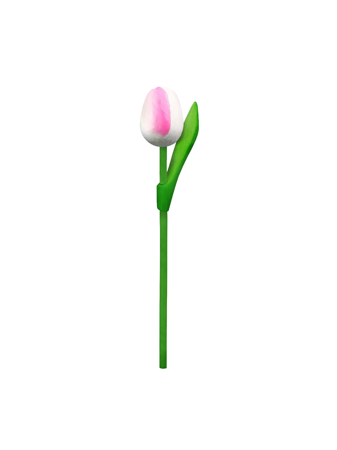 Tulip wood 20cm