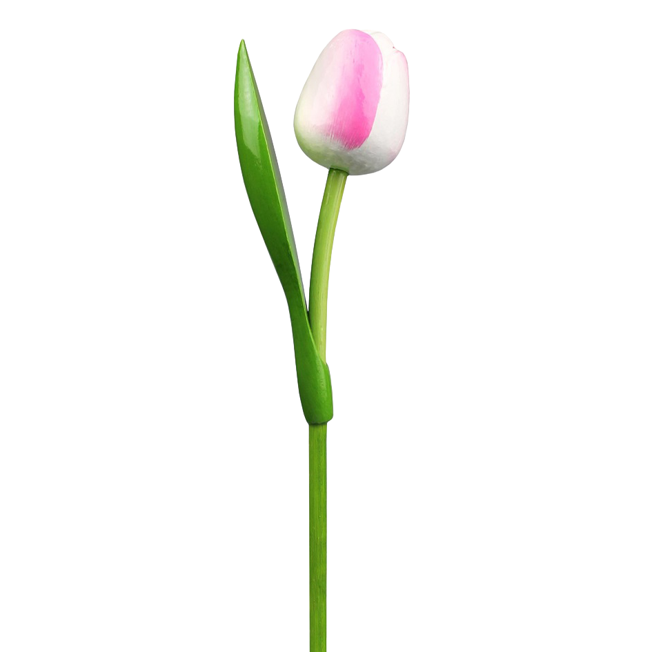 Tulp hout 30cm