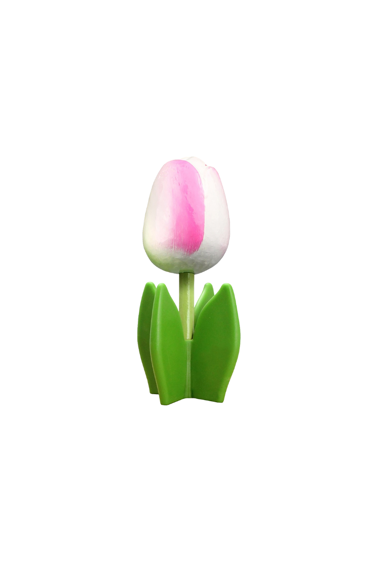 Tulip 4-leaf