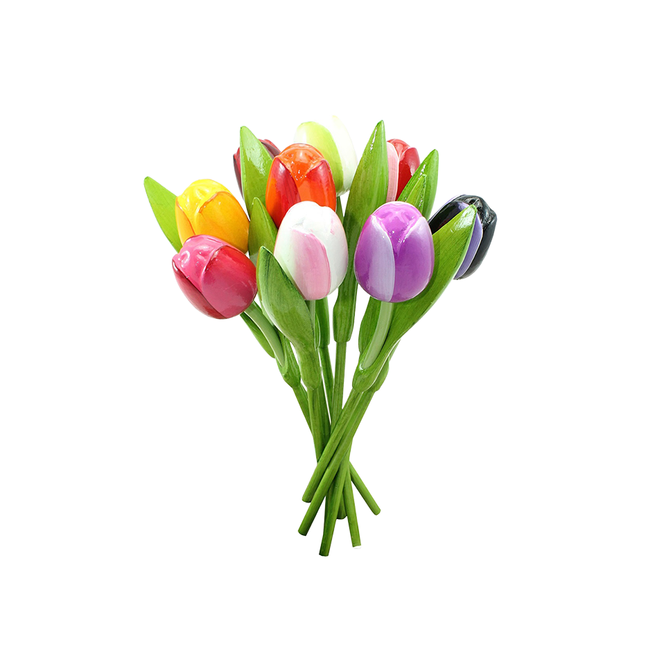 Tulpen bosje