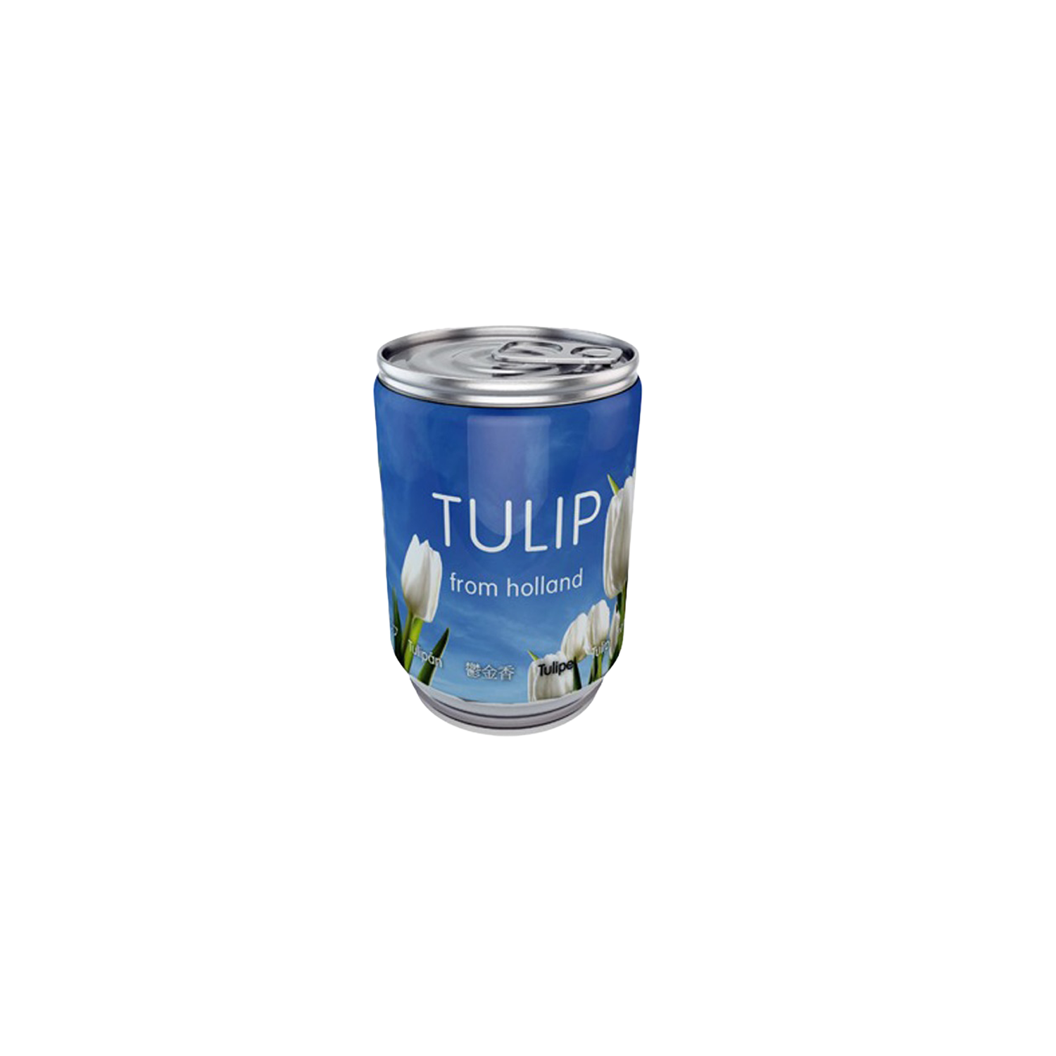 Tulpenbollen in blikje