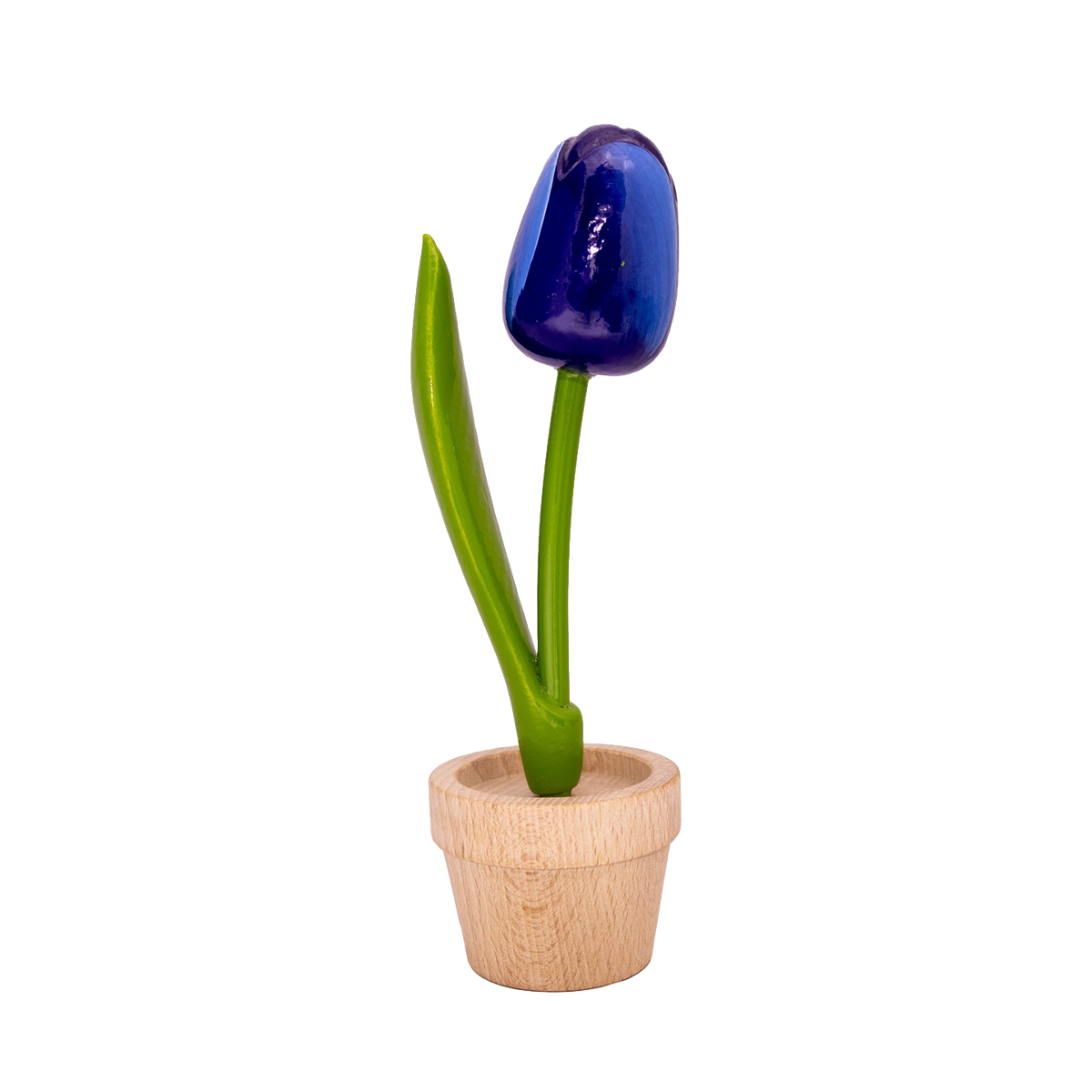 Tulp in pot