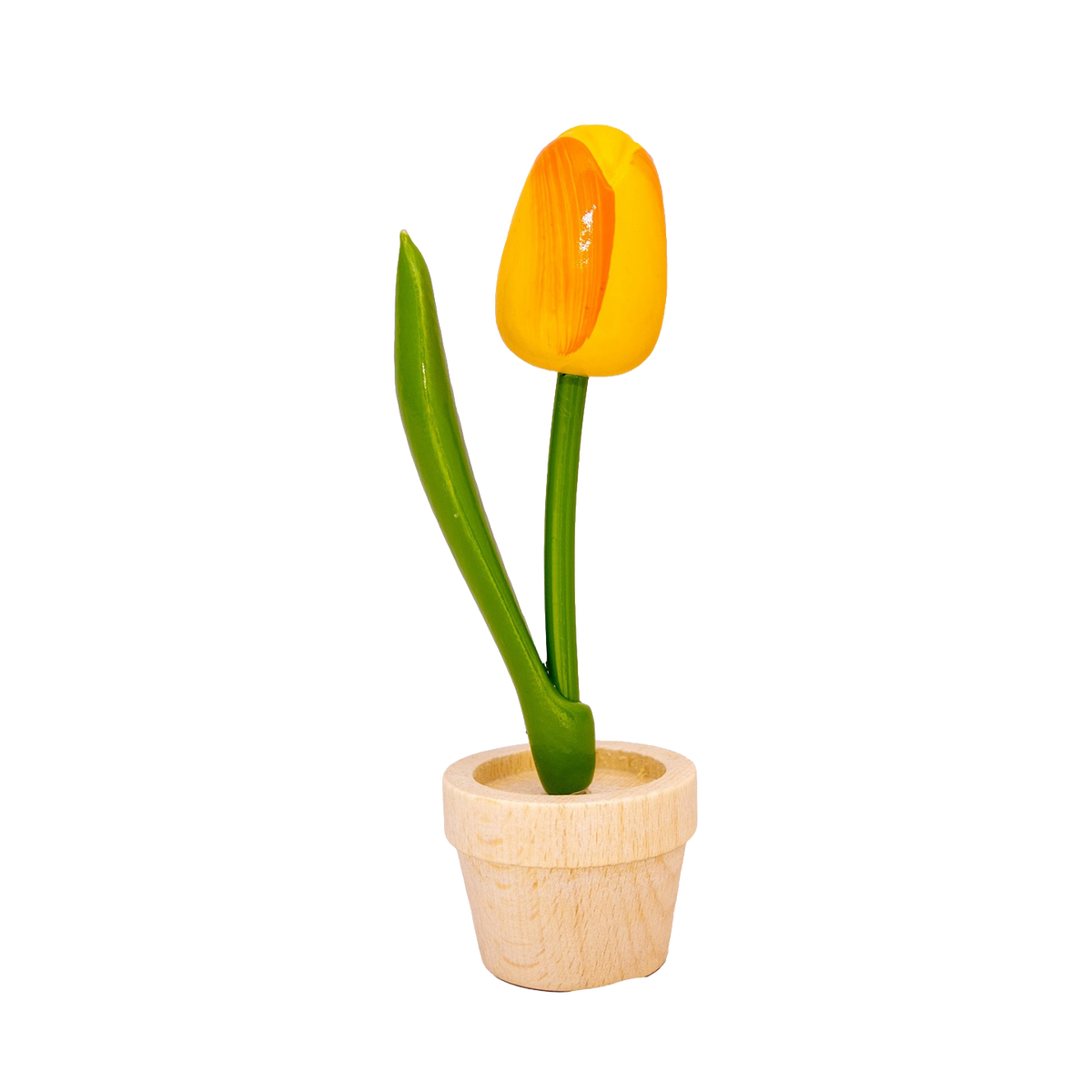Tulp in pot