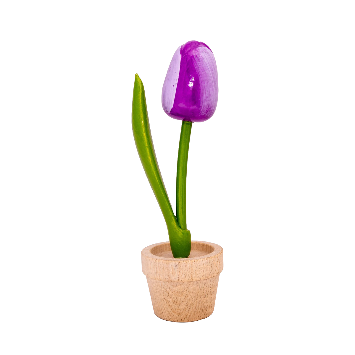 Tulp in pot