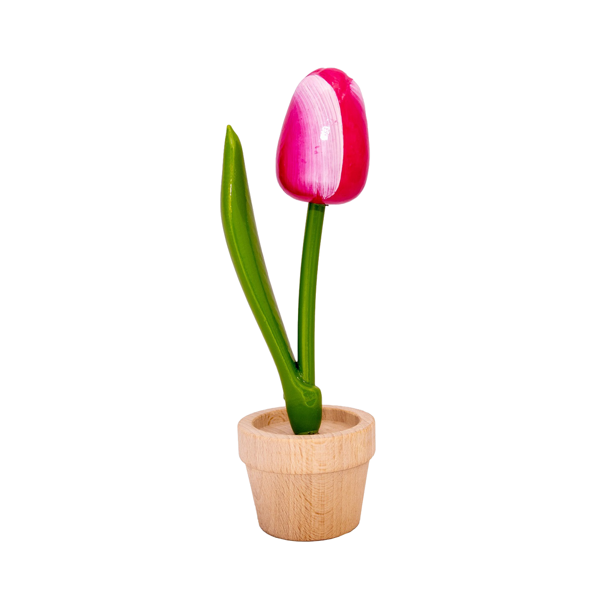 Tulp in pot