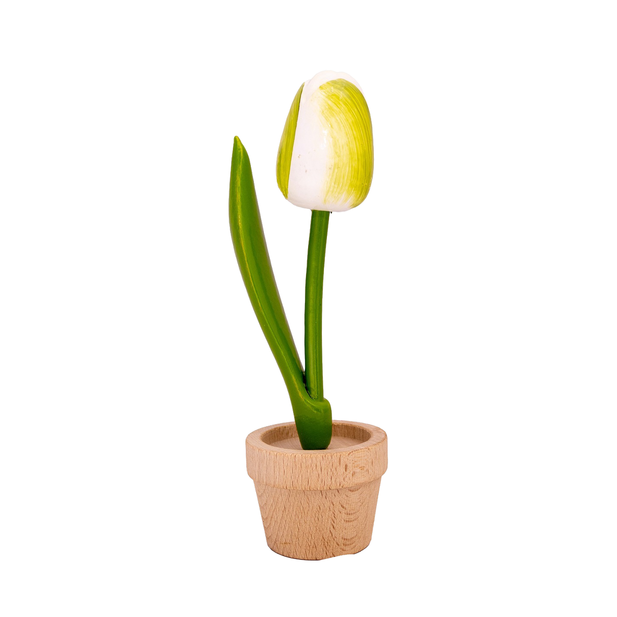 Tulp in pot
